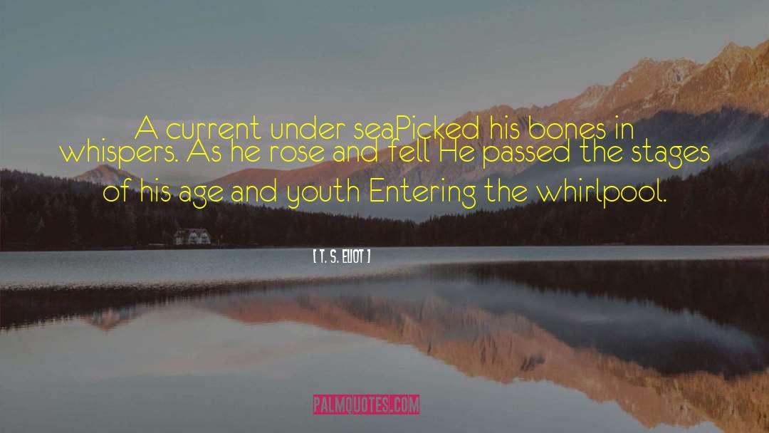Age And Youth quotes by T. S. Eliot