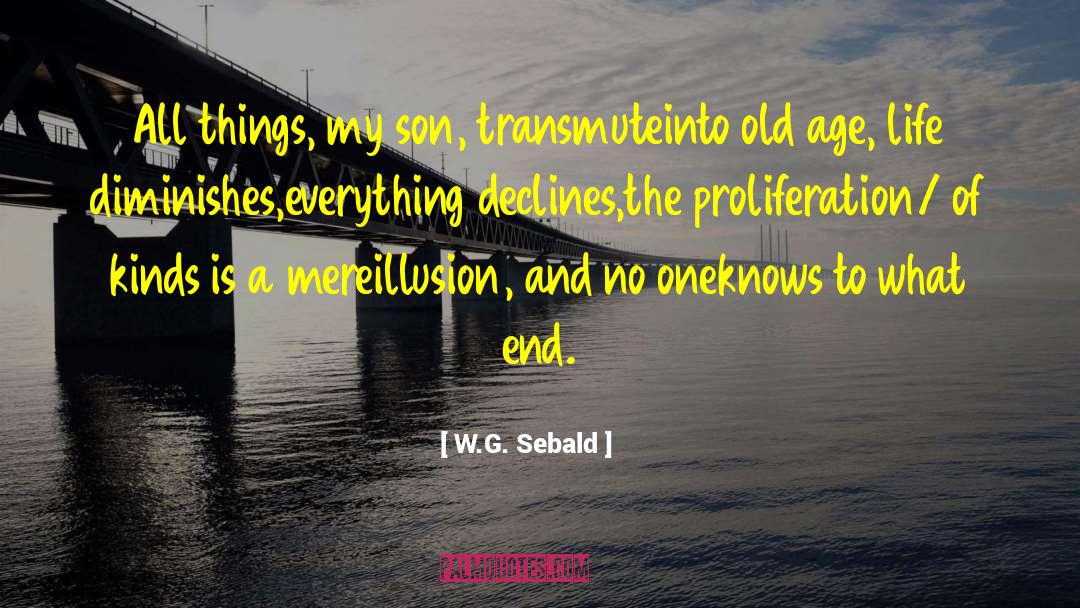 Age Life quotes by W.G. Sebald