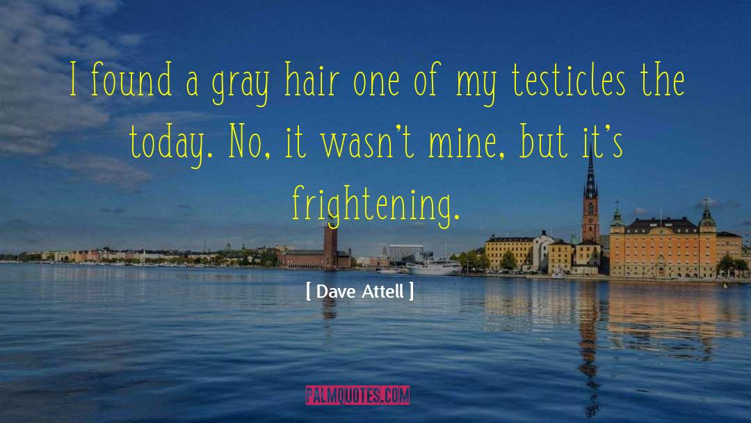 Age Of Gray quotes by Dave Attell