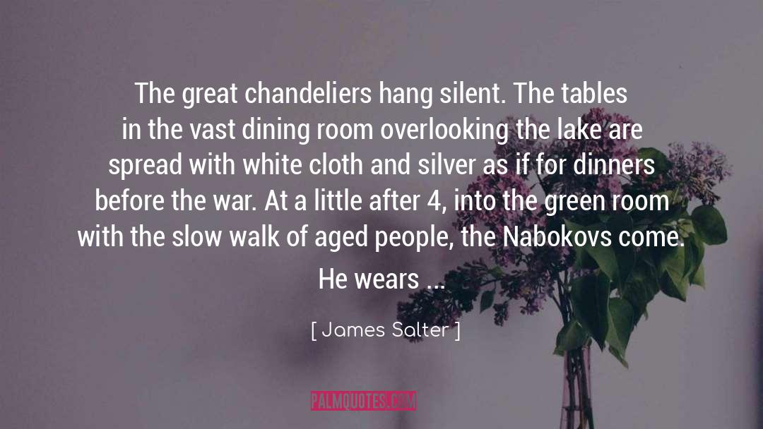 Aged 60 quotes by James Salter