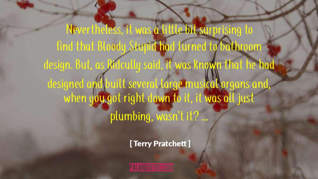 Agenjo Plumbing quotes by Terry Pratchett