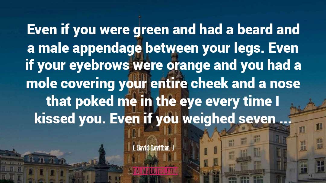 Agent Orange quotes by David Levithan