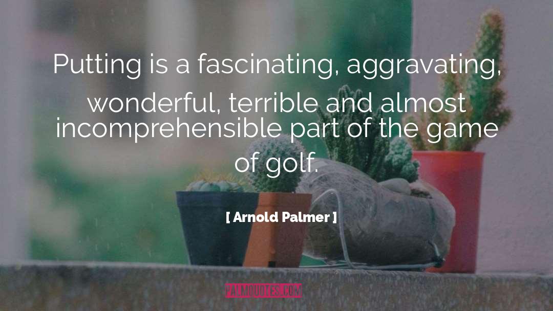 Aggravating quotes by Arnold Palmer
