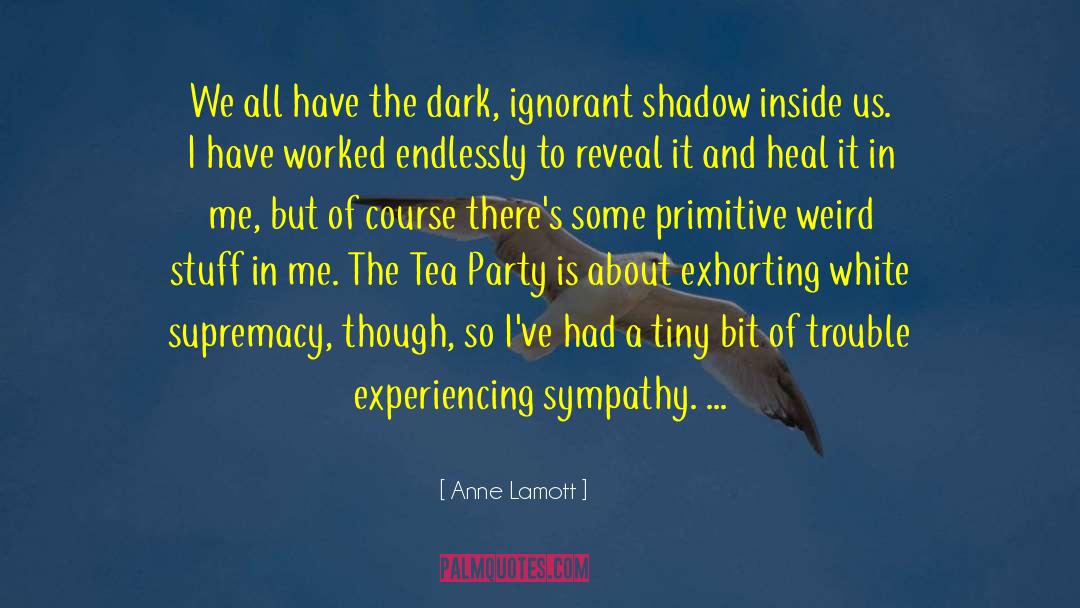 Aggrieved Party quotes by Anne Lamott