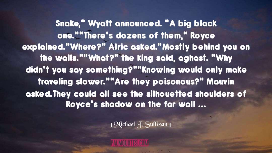 Aghast quotes by Michael J. Sullivan