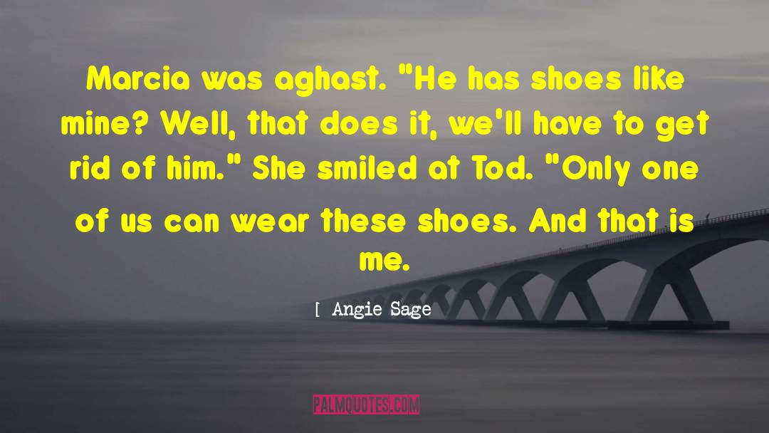 Aghast quotes by Angie Sage