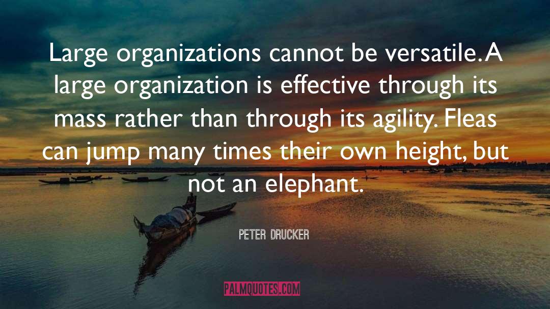 Agility quotes by Peter Drucker