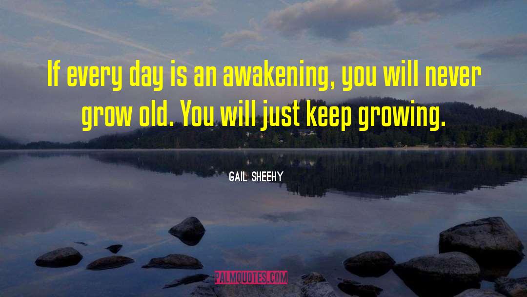 Aging Gracefully quotes by Gail Sheehy