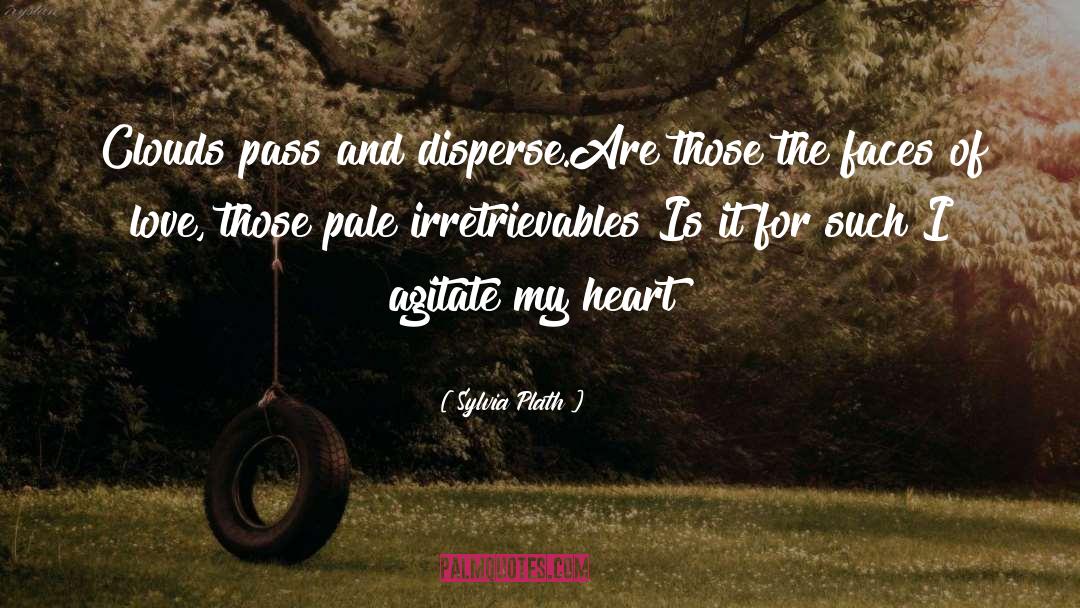 Agitate quotes by Sylvia Plath