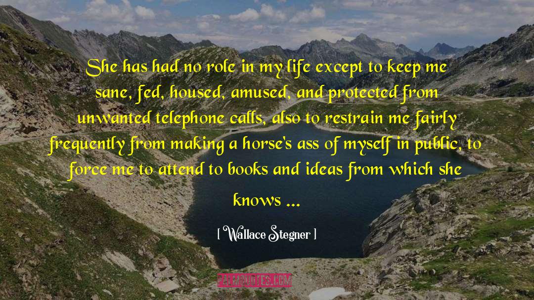 Agitate quotes by Wallace Stegner