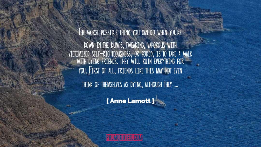 Agitation quotes by Anne Lamott