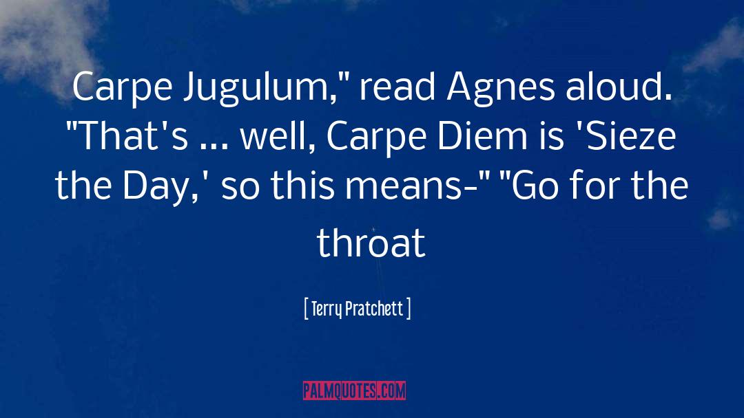 Agnes Is Adorable quotes by Terry Pratchett
