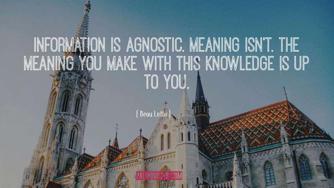 Agnostic quotes by Beau Lotto