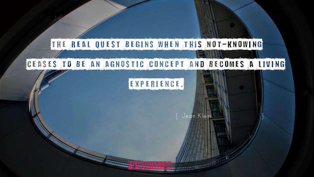 Agnostic quotes by Jean Klein