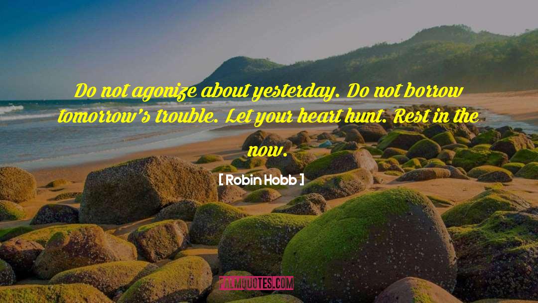 Agonize quotes by Robin Hobb