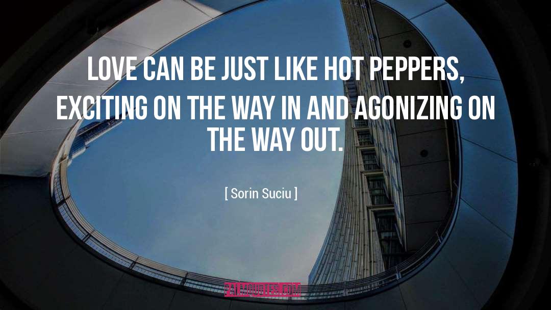 Agonizing quotes by Sorin Suciu