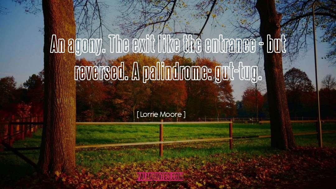 Agony quotes by Lorrie Moore