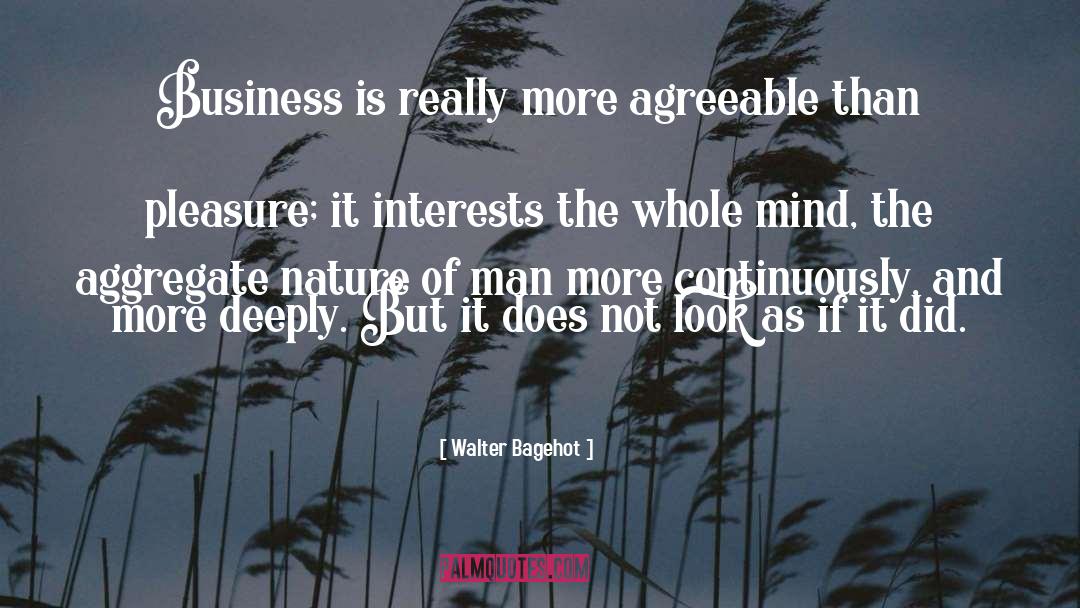Agreeable quotes by Walter Bagehot