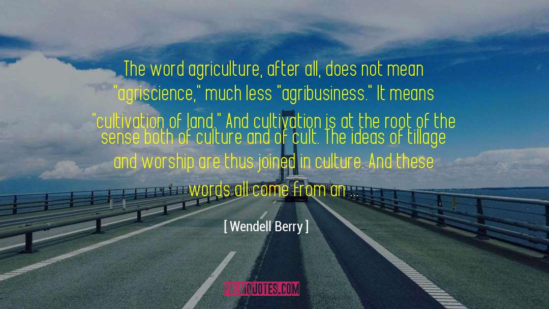 Agribusiness quotes by Wendell Berry