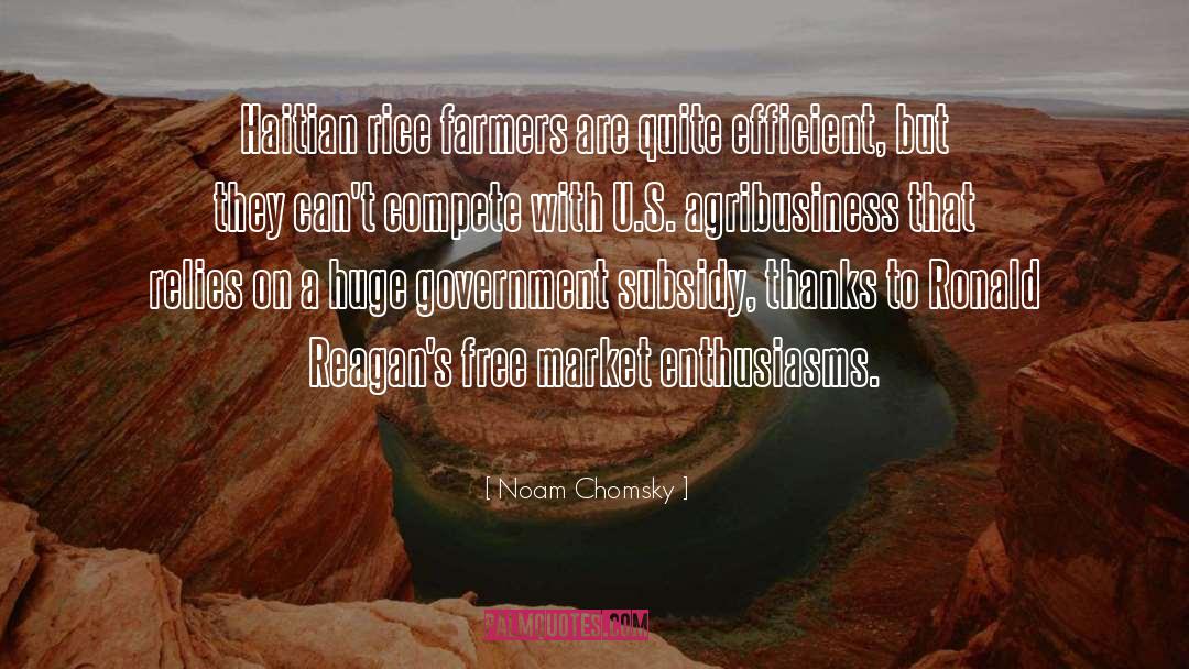 Agribusiness quotes by Noam Chomsky