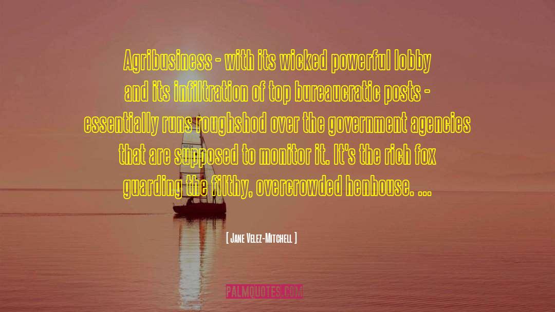 Agribusiness quotes by Jane Velez-Mitchell