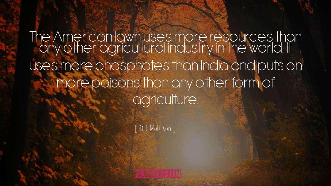 Agricultural quotes by Bill Mollison