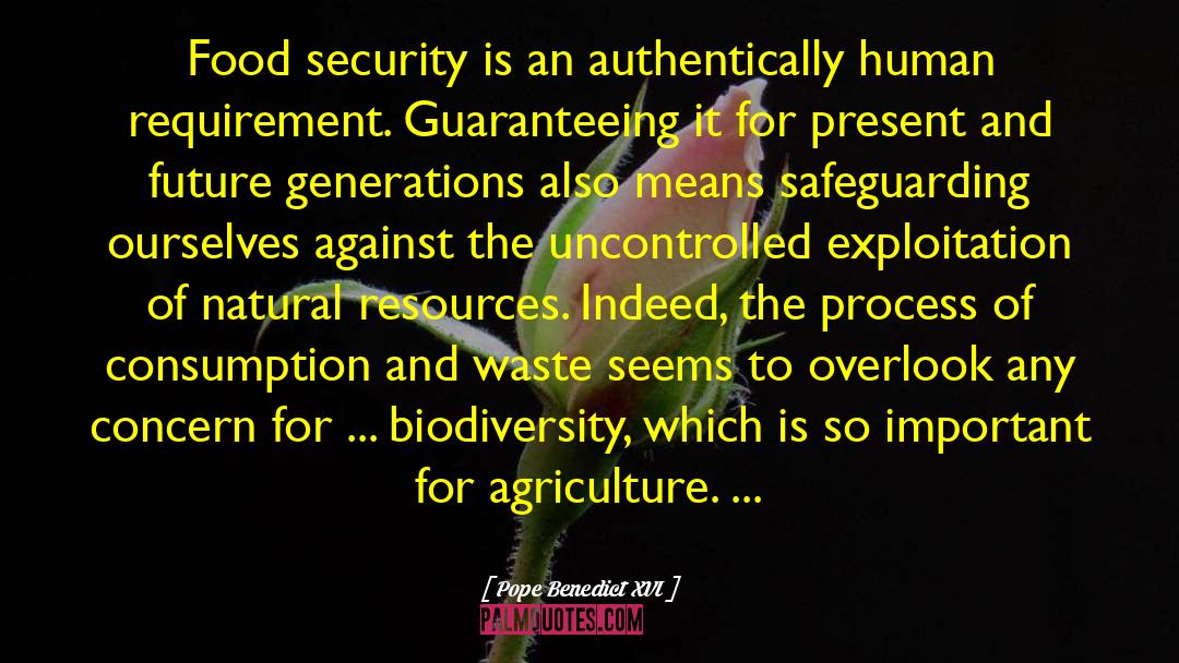 Agriculture quotes by Pope Benedict XVI