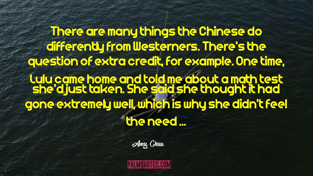 Aha quotes by Amy Chua