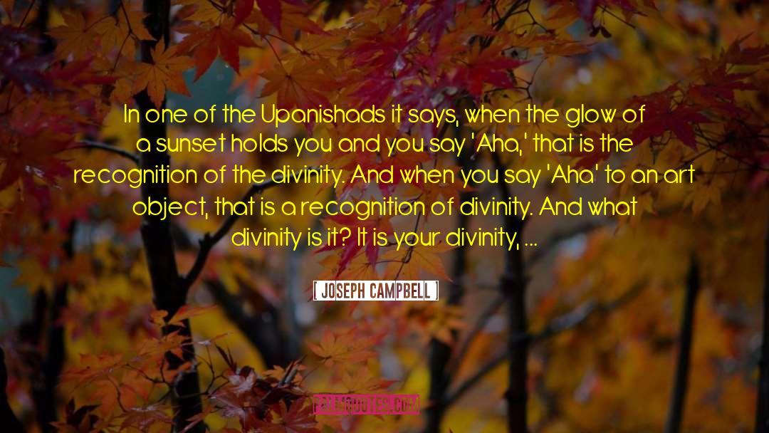 Aha quotes by Joseph Campbell