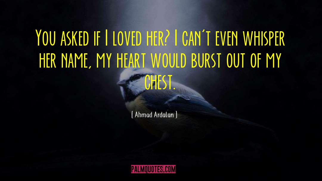 Ahmad Hilmy quotes by Ahmad Ardalan