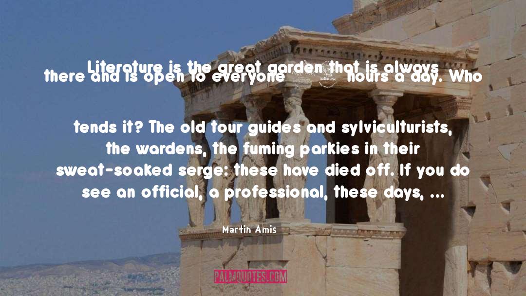 Ahs quotes by Martin Amis