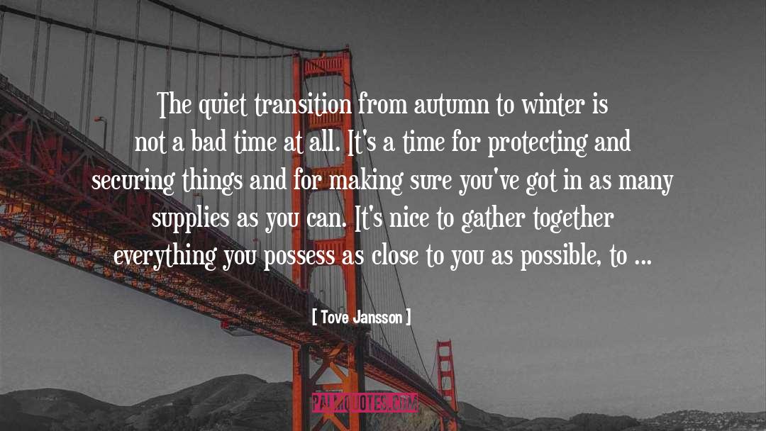 Ai Winter quotes by Tove Jansson