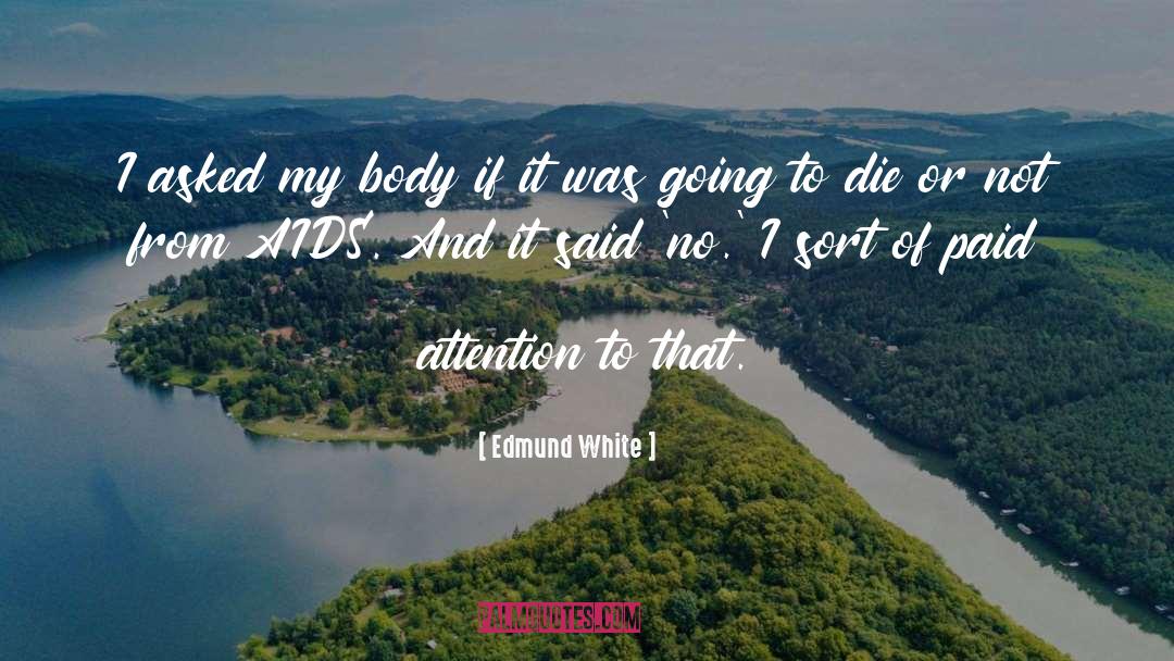 Aids quotes by Edmund White