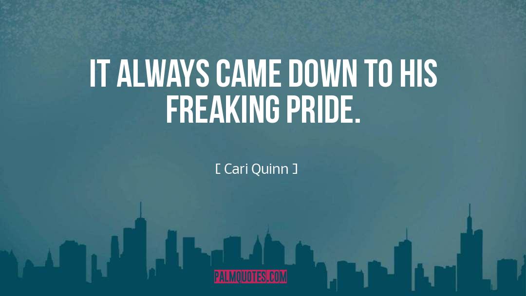 Aila Quinn quotes by Cari Quinn