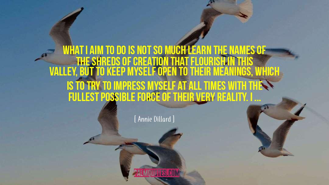 Aim Big quotes by Annie Dillard