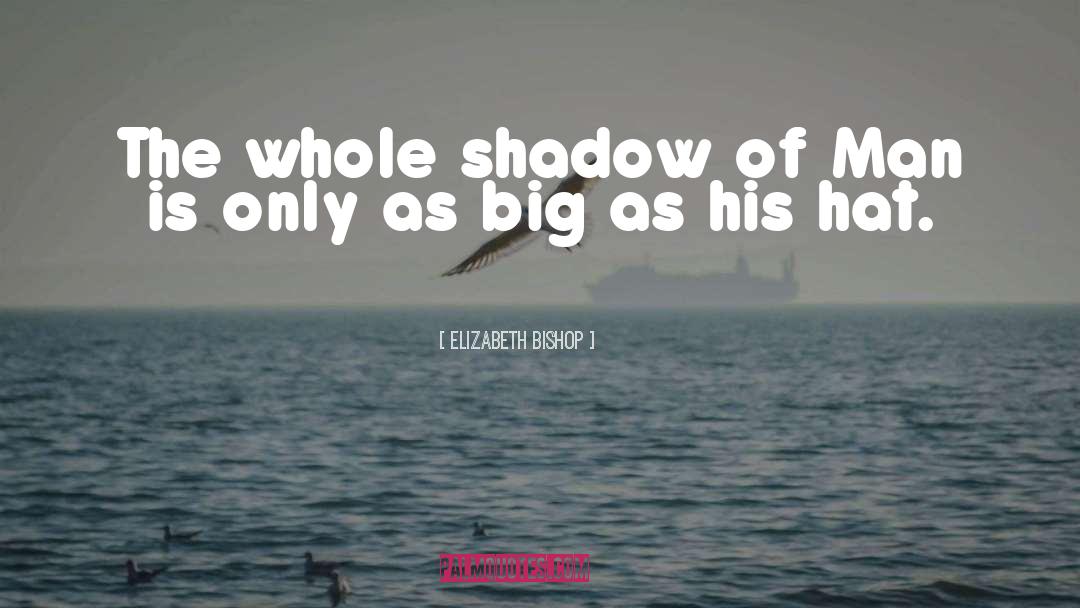 Aim Big quotes by Elizabeth Bishop