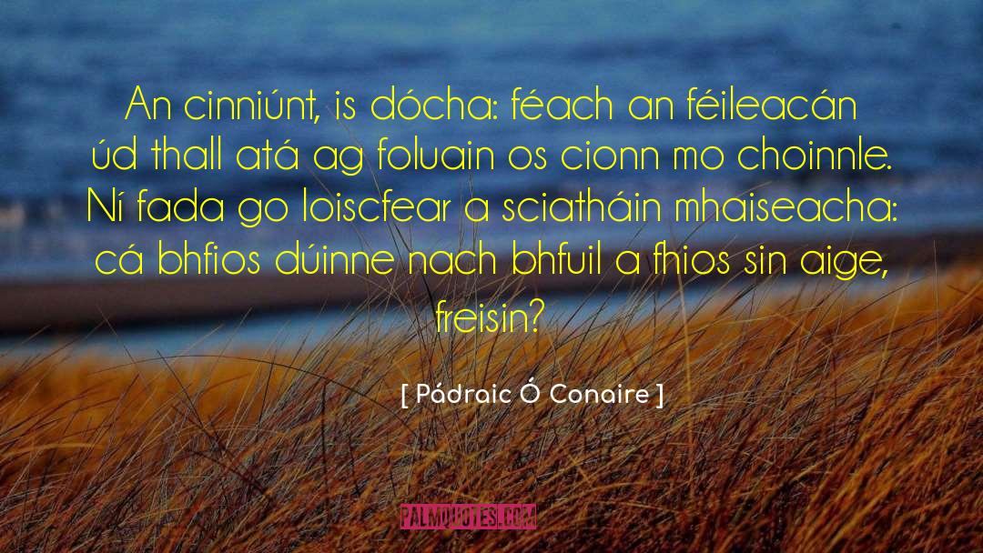 Aim C3 A9 C C3 A9saire quotes by Pádraic Ó Conaire