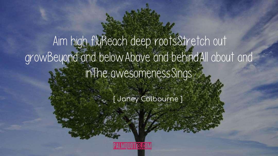 Aim High quotes by Janey Colbourne