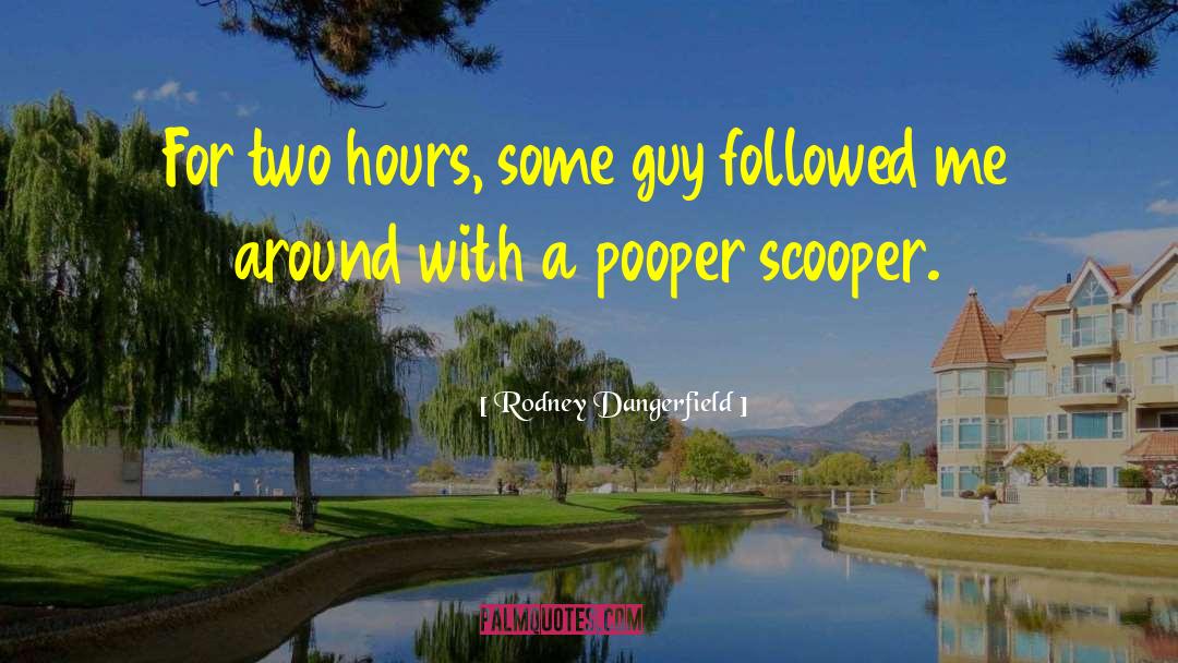 Aim Humor quotes by Rodney Dangerfield