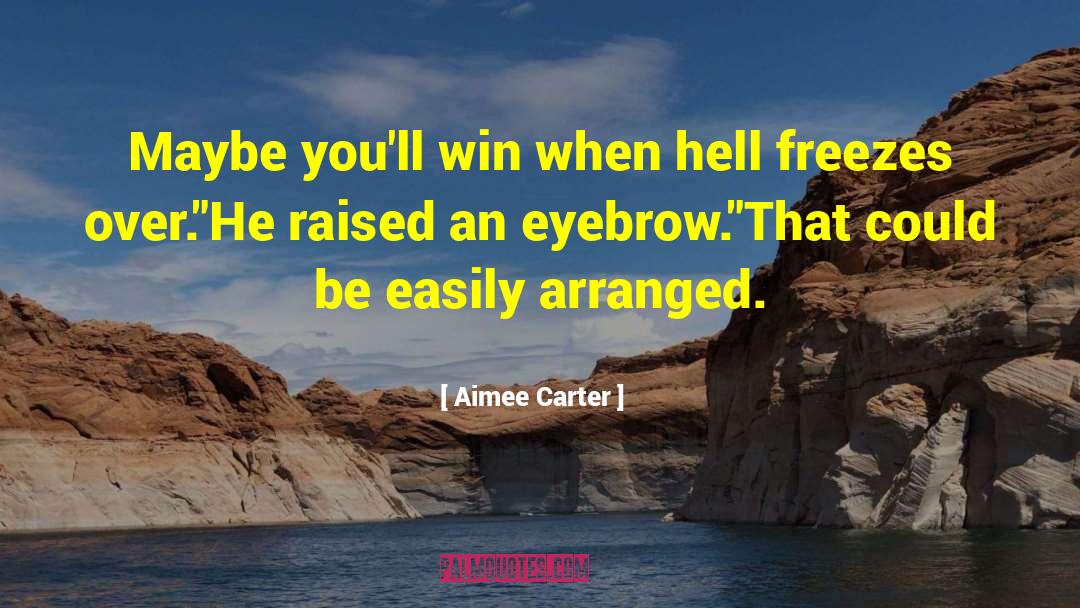 Aimee Carter quotes by Aimee Carter