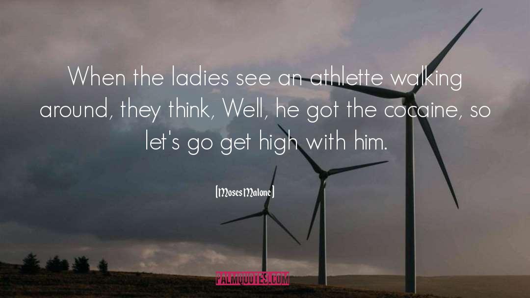 Aiming High quotes by Moses Malone
