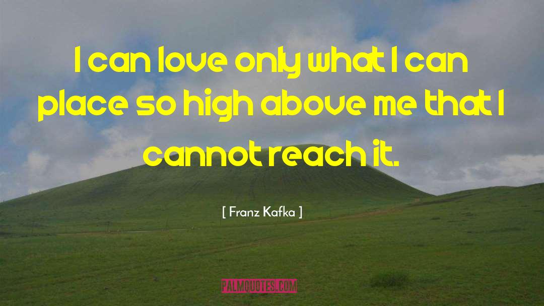 Aiming High quotes by Franz Kafka