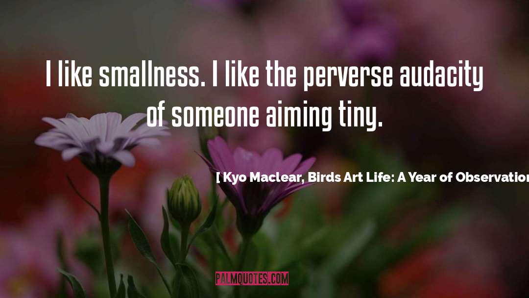 Aiming quotes by Kyo Maclear, Birds Art Life: A Year Of Observation