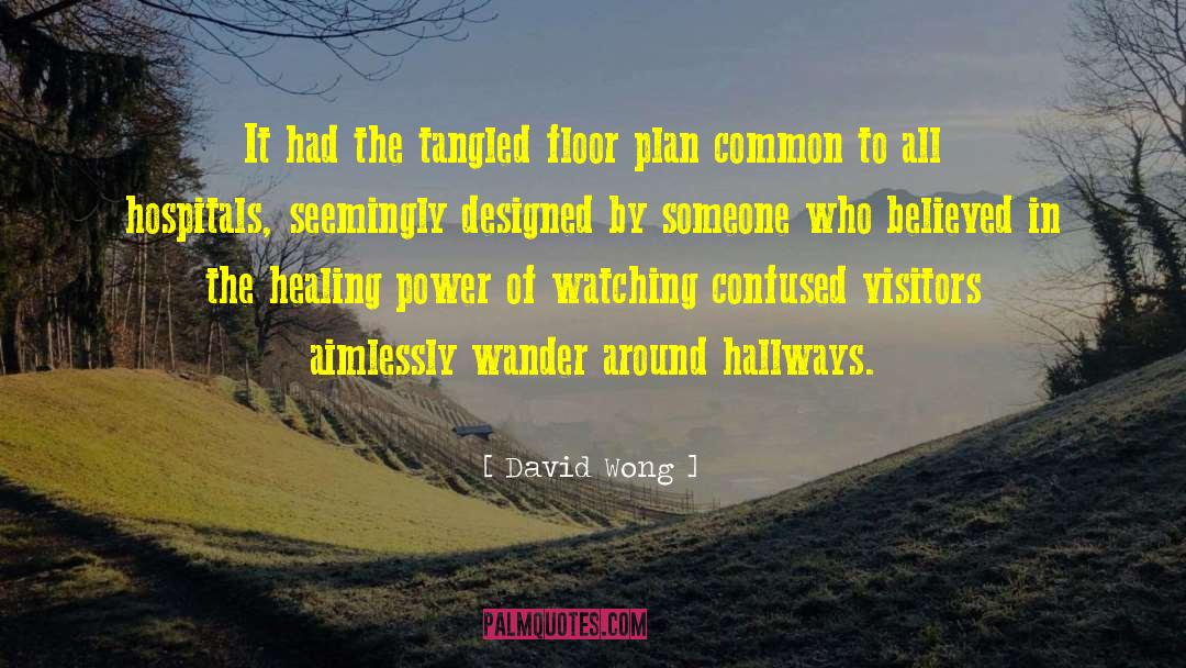 Aimless Wandering quotes by David Wong