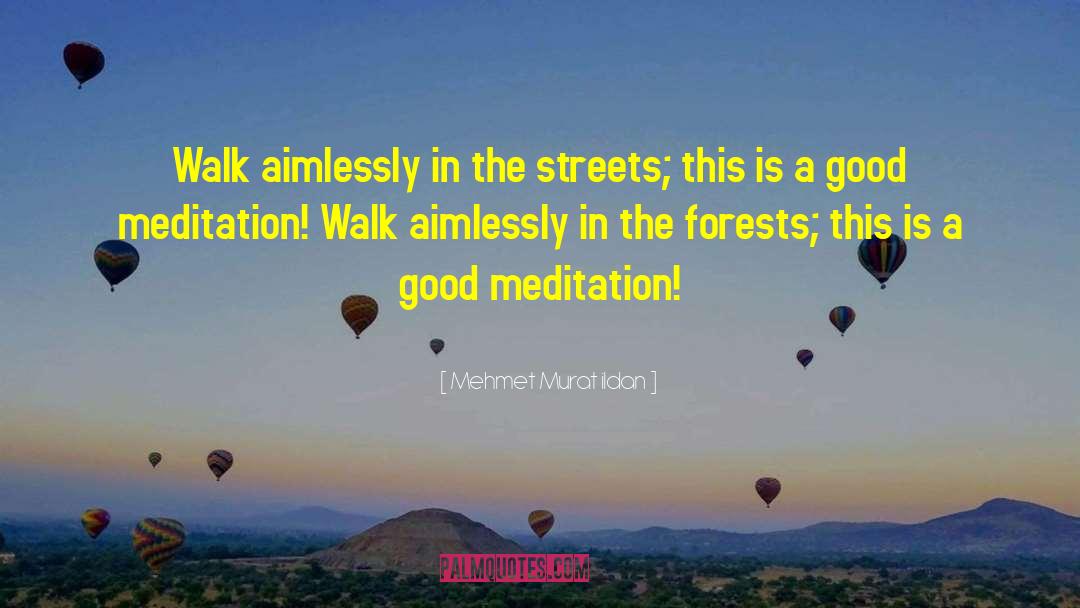 Aimlessly quotes by Mehmet Murat Ildan