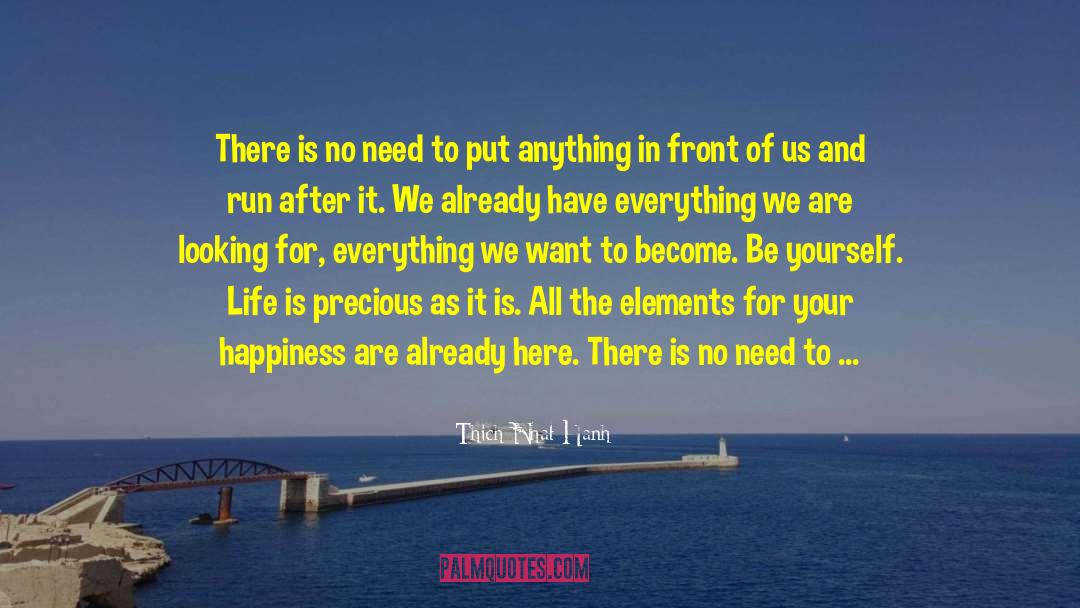 Aimlessness quotes by Thich Nhat Hanh