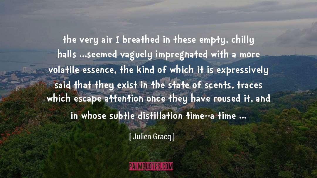 Air Awakens quotes by Julien Gracq