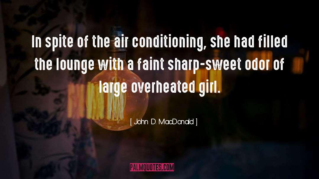 Air Conditioning quotes by John D. MacDonald