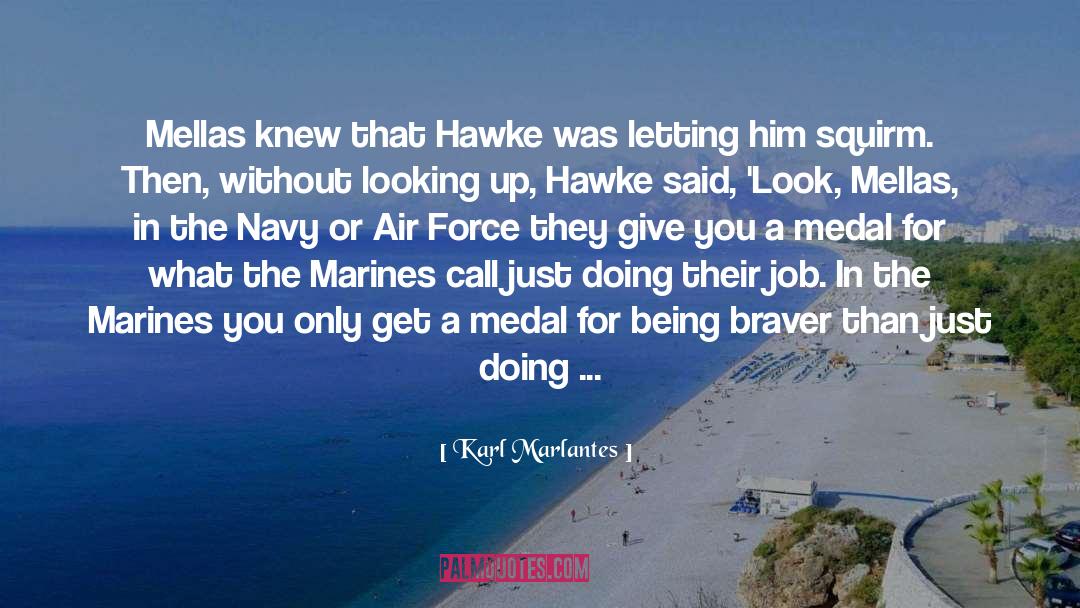 Air Force quotes by Karl Marlantes