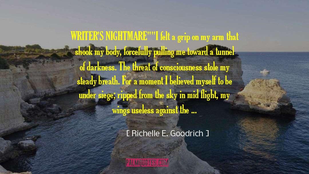 Air Hostess quotes by Richelle E. Goodrich